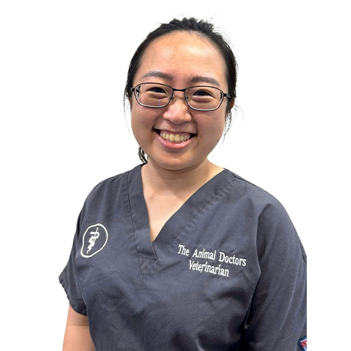 Dr Maria Sow