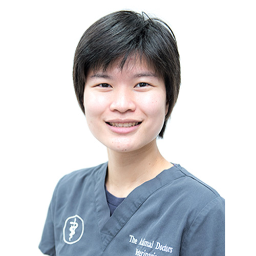 Dr. Candibyani