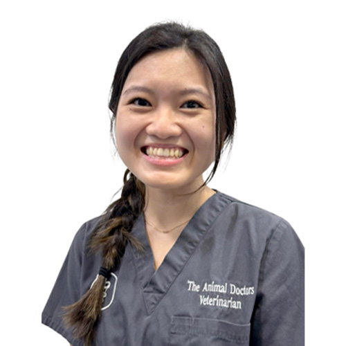 Dr. Khor Ting En