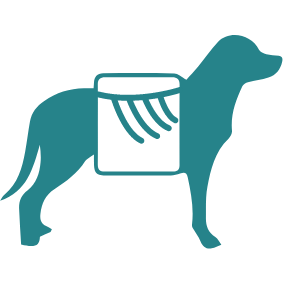 Diagnostic Imaging logo