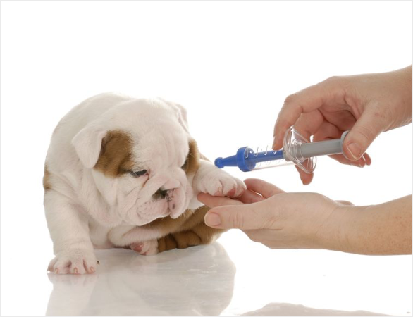 Alt Image