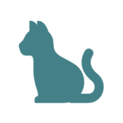 Clinic Cats