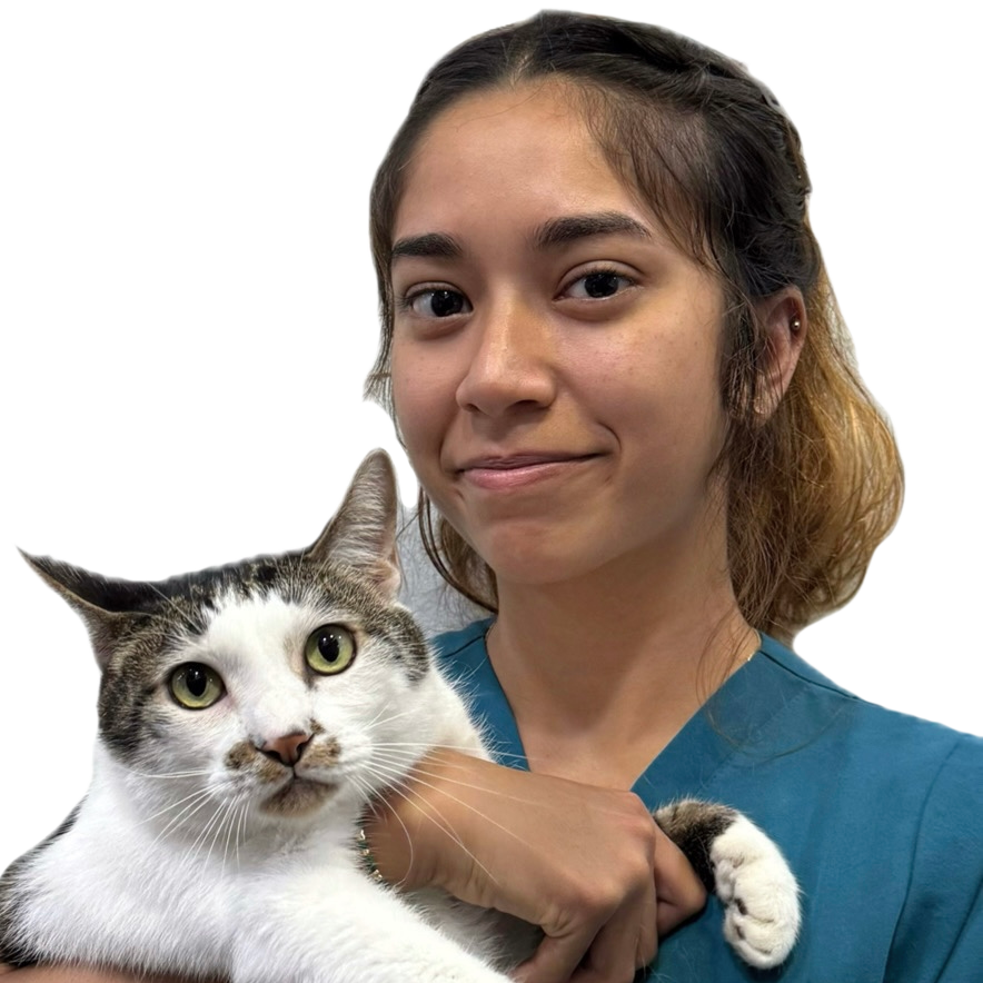 Sofia Lombardo Thumbnail